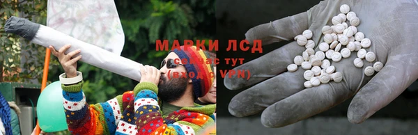соль ск Каменка