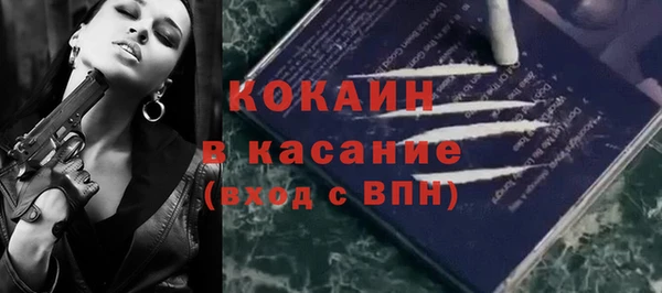 дживик Касимов