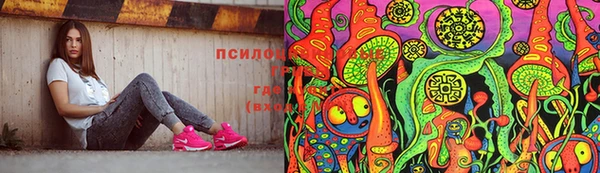 дживик Касимов