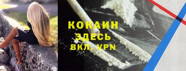 соль ск Каменка