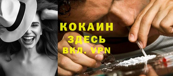 соль ск Каменка