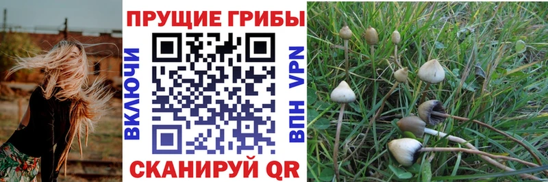 Купить  Ирбит  Галлюциногенные грибы прущие грибы 